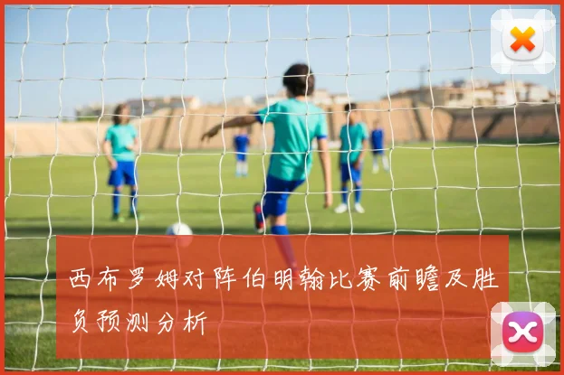 西布罗姆对阵伯明翰比赛前瞻及胜负预测分析
