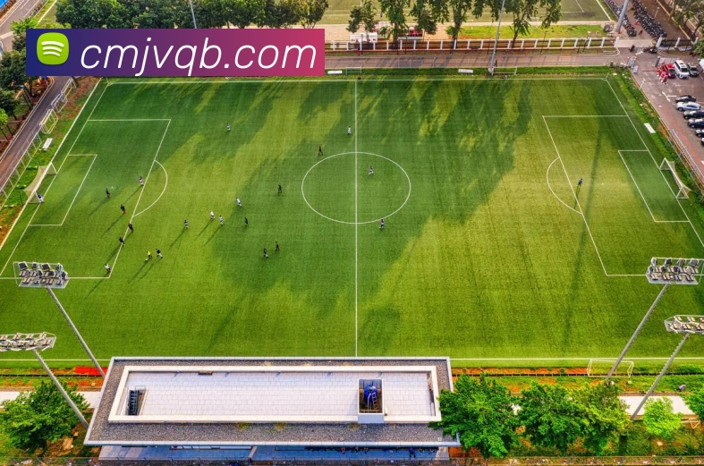 2019年尤文图斯对阵马德里竞技精彩回顾与赛后分析